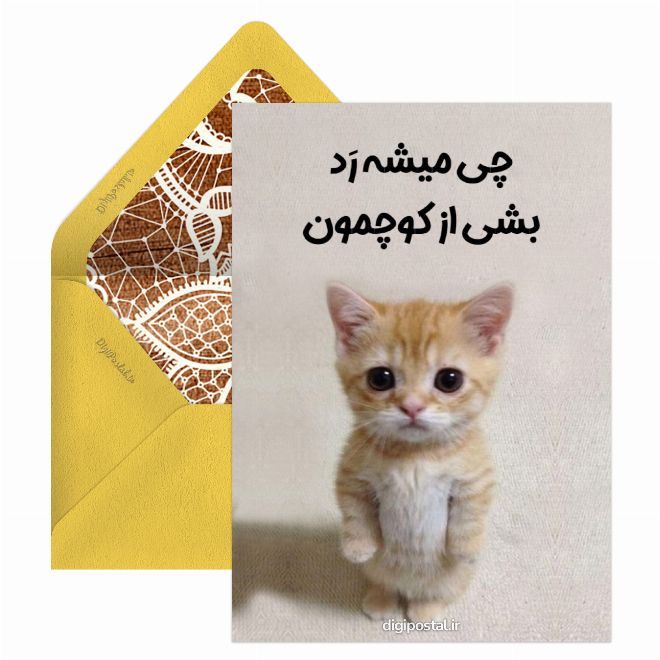 کارت پستال گربه شرک