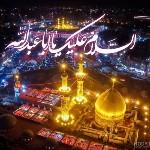 نازنین زهرا